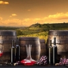 南非葡萄酒进口代理|南非葡萄酒进口代理公司