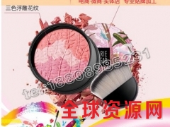 广州三色气垫腮红来样仿制加工生产厂家图1
