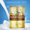 惠州老年高钙蛋白粉代工生产生态农业公司合作