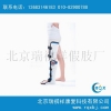 厂家定做儿童膝踝足矫形器（可调）_儿童大腿矫形器_北京瑞祺祥