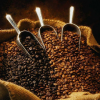 上海咖啡豆进口报关行,上海咖啡豆进口清关流程