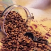 上海进口咖啡豆报关商检手续,进口咖啡豆清关资料
