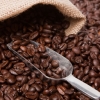 中国上海对进口墨西哥及澳洲咖啡豆的报关要求?