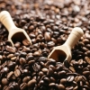 上海保税区进口咖啡豆细节流程,报关代理费用