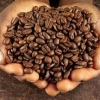 上海港能进口哪个国家的咖啡豆?上海进口报关公司帮您