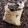 上海进口巴西咖啡豆报关报检公司及代理进口海运
