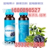50ml蓝莓酵素系列产品厂家