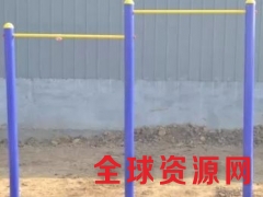 西宁学校双位单杠价格体育器材生产厂家图1
