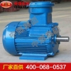 防爆电机 防爆电机规格