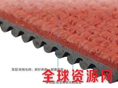 预制型橡胶跑道挤出机图2