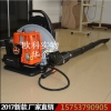 欧科落叶灰尘路面吹风机 背负式吹风清理机 大棚吹雪机