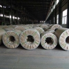 哪些原产国的钢卷可以进口到上海港