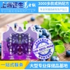 蓝莓果汁口服液加工袋装蓝莓浓缩果汁饮品OEM代加工