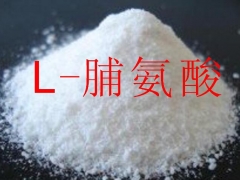 厂家直销 食品级L-脯氨酸 含量98% 保证真品图3