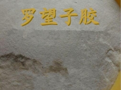 大批量现货供应食品级罗望子胶  含量99%图3