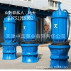 潜水混流泵专业制造厂家