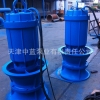 600QZB-50井筒式潜水轴流泵雨季快速排水泵