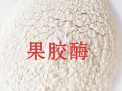 果胶酶添加量，果胶酶用量，果胶酶使用方法图2