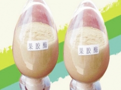 果胶酶添加量，果胶酶用量，果胶酶使用方法图3