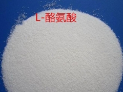 L-酪氨酸价格 L-酪氨酸用途 L-酪氨酸含量图2