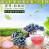 吉林蓝莓酵素粉贴牌生产OEM生产厂家