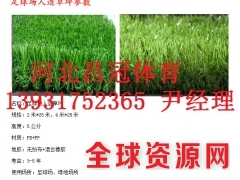 足球场人造草坪现货供应商图2