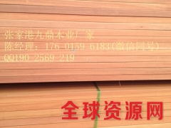 山樟木  低价 九鼎木业港口厂价图2