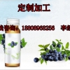 蓝莓酵素饮品OEM提取原材料厂家