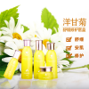 洋甘菊护肤品套装诚招代理 OEM加工