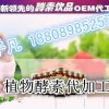 零售综合果蔬酵素原液  直销厂家果蔬酵素粉