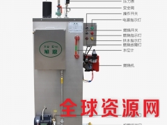 蒸汽燃气锅炉发生器全自动 立式智能小型天然气不锈钢蒸汽机图2