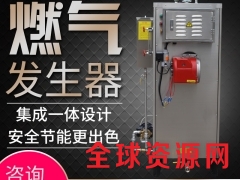 蒸汽锅炉 燃气发生器洗涤脱水配套 全自动天然气燃气锅炉发生器图2