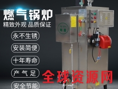 蒸汽锅炉 燃气发生器洗涤脱水配套 全自动天然气燃气锅炉发生器图3