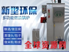 蒸汽锅炉电锅炉 烫平烫斗免检 节能环保水蒸汽锅炉全自动图2