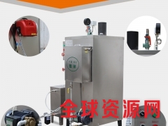 蒸汽锅炉电锅炉 烫平烫斗免检 节能环保水蒸汽锅炉全自动图3