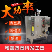 电热蒸汽锅炉全自动灭菌罐专用设备蒸汽发生器广东厂家