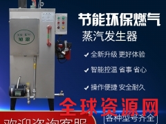 加热蒸汽发生器 全自动不锈钢立式免检产品图3