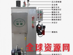 燃气蒸汽锅炉 天然气蒸汽锅炉发生器 智能不锈钢图3