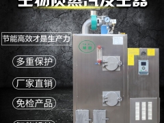 旭恩生物质蒸汽发生器全自动环保节能厂家直销30kg图3
