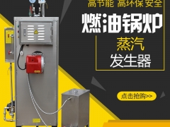 旭恩全自动蒸发量60kg燃油蒸汽锅炉/燃油蒸汽发生器图3