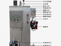 全自动燃气蒸汽发生器.60kg蒸汽发生器全自动售后全国图1