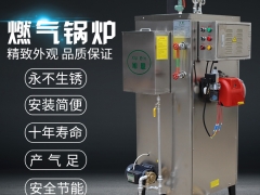 全自动燃气蒸汽发生器.60kg蒸汽发生器全自动售后全国图2
