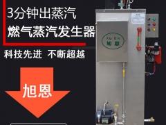 全自动燃气蒸汽发生器.60kg蒸汽发生器全自动售后全国图3