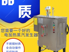 厂家直销12kw全自动小型电热蒸汽发生器环保图2