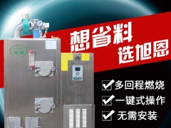旭恩全自动生物质蒸汽发生器节能环保洗涤配套蒸汽锅炉图1