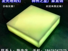 神州之星发光树脂地砖灯、发光鸟蛋灯、树脂通体发光地砖灯图2