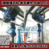 300kg智能提升机价格,配套悬臂吊/折臂吊使用,北京上海