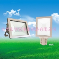 BAD808-L2LED防爆泛灯LED防爆路灯防爆LED路灯