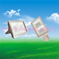 BAD808-L2LED防爆马路灯LED防爆泛灯