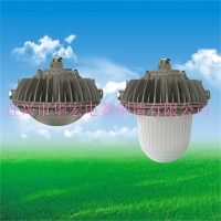 ZL8924固态防爆全方位泛光工作灯 LED防爆泛光灯